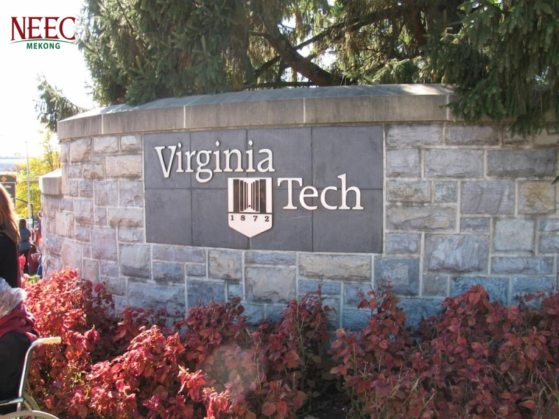 Trường Virginia Tech