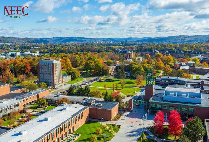 Trường Binghamton University–SUNY